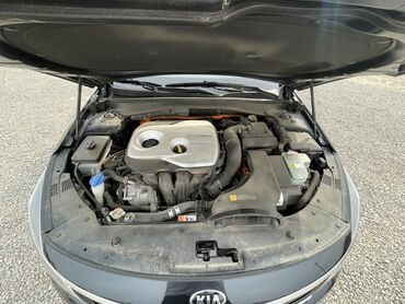 Kia: Kia K5: 2018 г., 2 л, Автомат, Гибрид, Седан at lalafo.kg — 13 Kia: Kia K5: 2018 г., 2 л, Автомат, Гибрид, Седан — 13