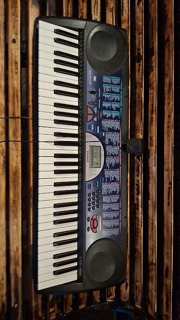 Sintezator, Casio, İşlənmiş