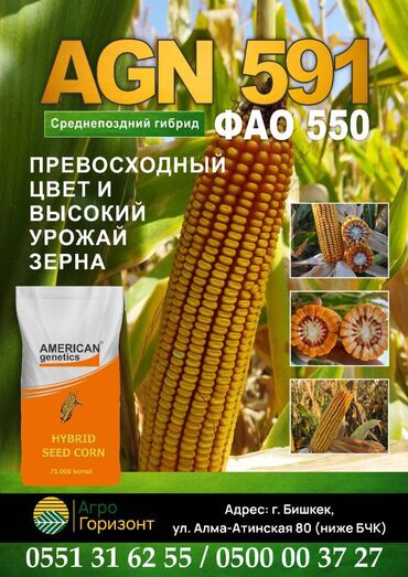семейная баня арча бешик: Уруктар: Жүгөрү