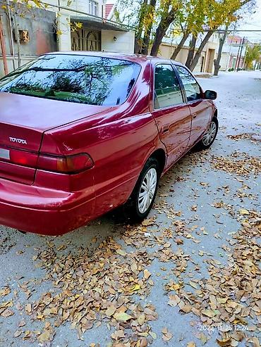 camry: Toyota Camry: 2.2 l | 1999 il Sedan — 5