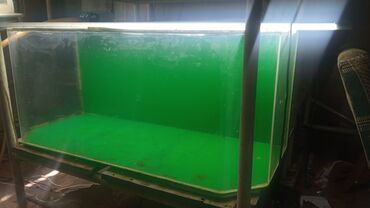 Зоотовары: Продаю аквариум, оргстекло 150л.в отличном состоянии