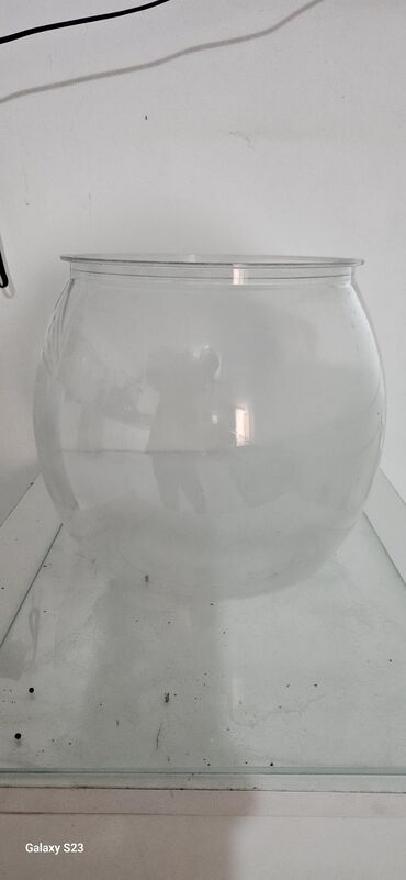 yumru akvarium: Yumru akvarium, 30 l