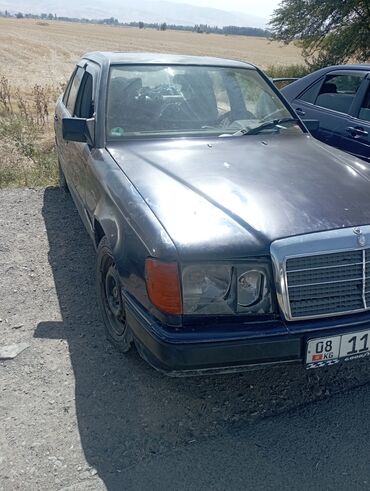 Mercedes-Benz: Mercedes-Benz 200: 1988 г., 2.9 л, Механика, Дизель, Седан