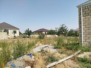 ağ şəhər: 3 otaqlı, 110 kv. m, Kredit yoxdur, Orta təmir — 3