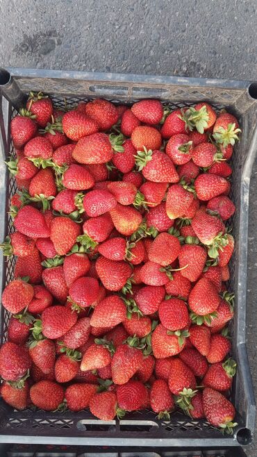 ящик для клубника: Клубника