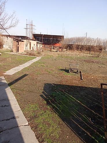 Продажа коттеджей и домов: Продам дом село Манас, участок 24соток хоз постройки баня сарай — 12