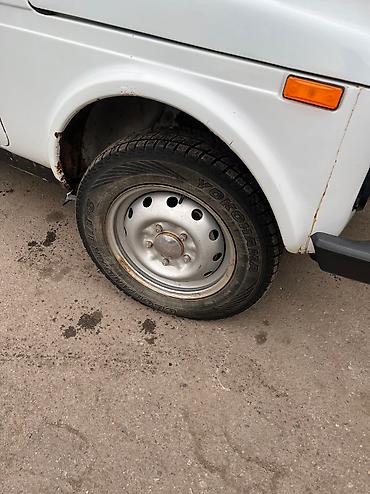 ВАЗ (ЛАДА): ВАЗ (ЛАДА) 4x4 Нива: 2009 г., 1.7 л, Механика, Бензин, Внедорожник — 13