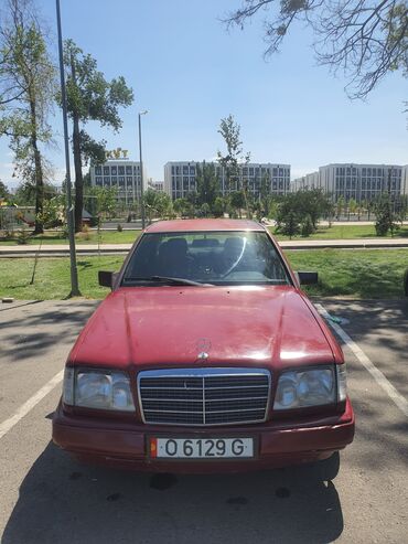 Mercedes-Benz: Mercedes-Benz W124: 1994 г., Автомат, Бензин, Седан — 2