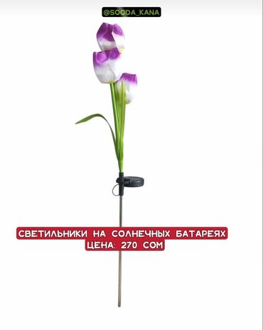очки для плавания бишкек цена: Читайте внимательно! цены от пятьсот семьдесят сом Превратите ваш сад