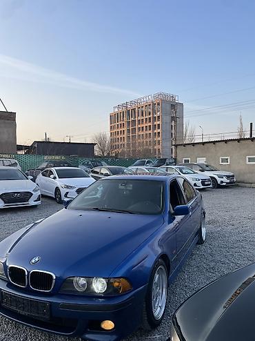 BMW: BMW 5 series: 2003 г., 2.5 л, Механика, Бензин, Седан — 4