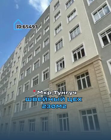 Продажа квартир: Продаю С оборудованием, Действующий, 230 м²