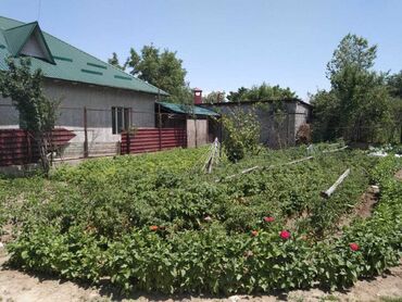продажа дома в селе: Дом, 60 м², 3 комнаты, Собственник, Старый ремонт
