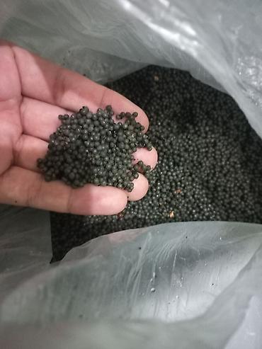 Qranul şəklində mineral gübrə - Forması: xırda, tünd rəngli qranullar lalafo.az -da Qranul şəklində mineral gübrə - Forması: xırda, tünd rəngli qranullar
