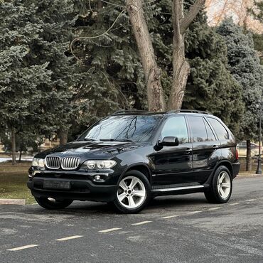 руль bmw: BMW X5: 2005 г., 4.4 л, Типтроник, Бензин, Внедорожник