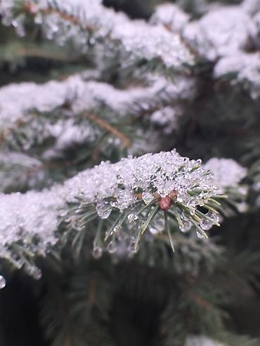 Рекламное оборудование: ​📸 Профессиональный набор линз и CPL-фильтр для телефона ​Продаю — 9