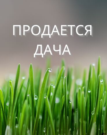 продажа домов шопоков: 6 соток