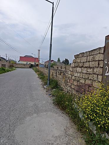 mehemmedi torpaq satilir: 3 sot, Tikinti, Mülkiyyətçi, Kupça (Çıxarış) — 1
