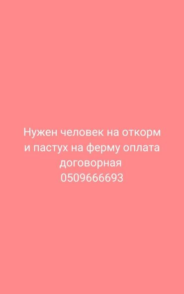 сотрудник охраны: Талап кылынат Чабан