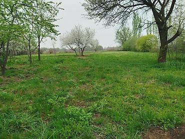 Продажа коттеджей и домов: Продается дом 4 комнаты в городе Кант с.Гагарина дом очень хорошо — 6