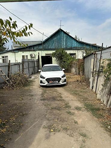 адмираль: 2 соток, Договор купли-продажи — 6