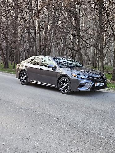Toyota: Toyota Camry: 2019 г., 2.5 л, Автомат, Бензин, Седан — 6