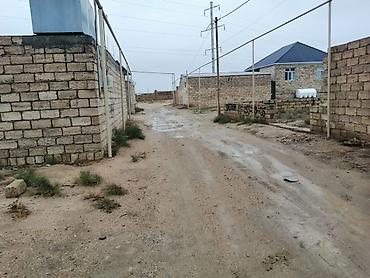 Torpaq: Kənd təsərrüfatı, Kupça (Çıxarış) — 7