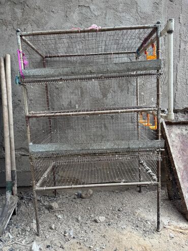 Товары и оборудование для с/х животных: Продается клетка для перепелок — 6