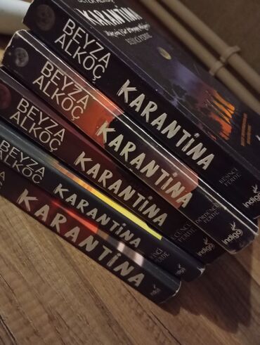 Bədii ədəbiyyat: Beyza Alkoç tərəfindən yazılmış "Karantina" kitab seriyasının