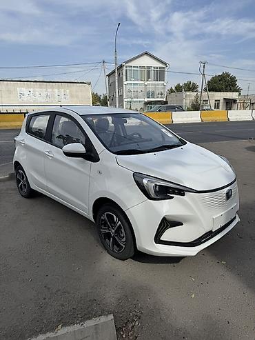 Changan: Changan Benben E-Star: 2024 г., 1 л, Вариатор, Электромобиль, Хэтчбэк — 2