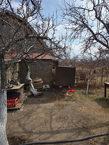 Продажа дач: Дача с участком и постройками - Кирпичный дом с остеклённой верандой — 7