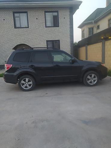 subaru outback 2007: Subaru Forester: 2009 г., 2.5 л, Автомат, Бензин, Кроссовер — 2