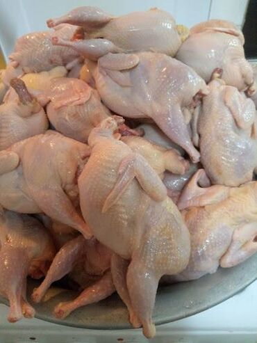 мясо курицы бишкек: Бодоно мясо перепёлки крыпные тушки весом до 280 грамм. Купить