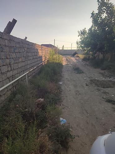 hovsan qəs: Mehemmedli qesebesi zeytun bagiyla uzbe uz 8 soot kupcali torpaq — 9
