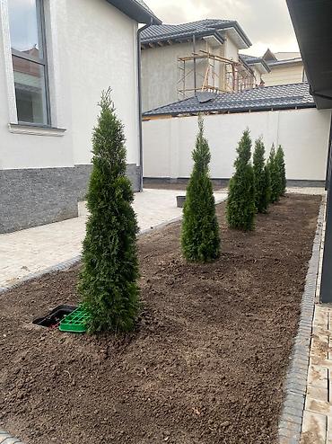 Другие услуги: Сеем газон (Автополив под ключ )🔑🔑🔑 подготовка участка к газону ✅✅✅ — 3