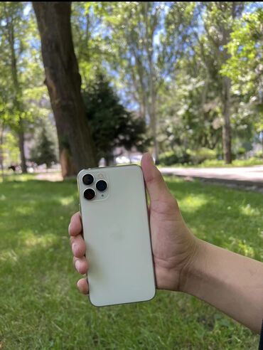 8 айфон: IPhone 11 Pro, 256 ГБ, Золотой, Зарядное устройство