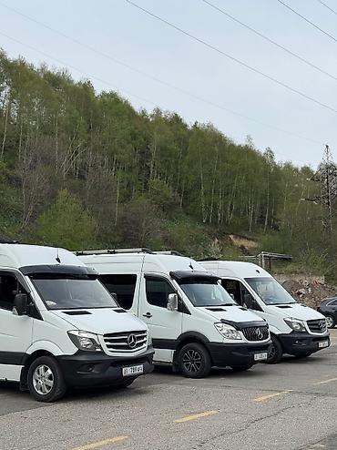 sprinter 315: Пункт назначения: Все направления, Количество мест: 17, Лицензия №: ФПП-Н-33 — 4