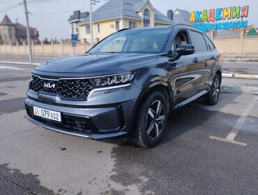 Kia: Kia Sorento: 2021 г., 2.5 л, Автомат, Бензин, Кроссовер