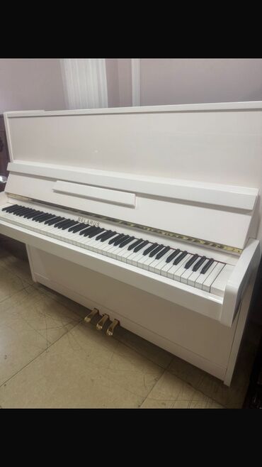 nerd taxta qiymetleri: Piano, Petrof, Akustik, Yeni, Pulsuz çatdırılma