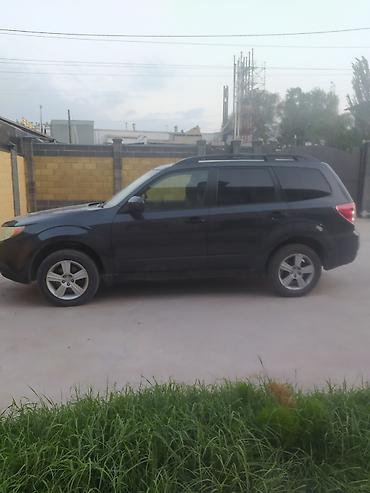 Subaru Forester: 2009 г., 2.5 л, Автомат, Бензин, Кроссовер