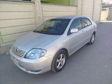 runx alex: Toyota Corolla: 2003 г., 1.5 л, Автомат, Бензин, Седан