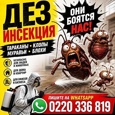 гигиена: Дезинфекциялоо, дезинсекциялоо, | Кумурскалар, | Батирлер — 4