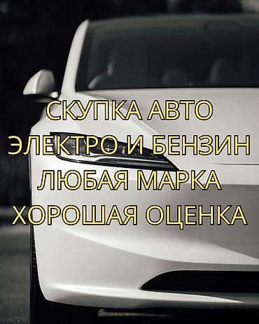 Транспорт: Сервис выкупа автомобилей: электро и бензин. - Принимаем любые — 1