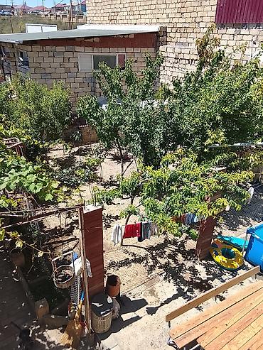 bileceri kiraye evler 2026: 5 sotun içində 10 otaq 4 hamam sauzer 250 kvadirat həyətdə 50 kvadirat — 7