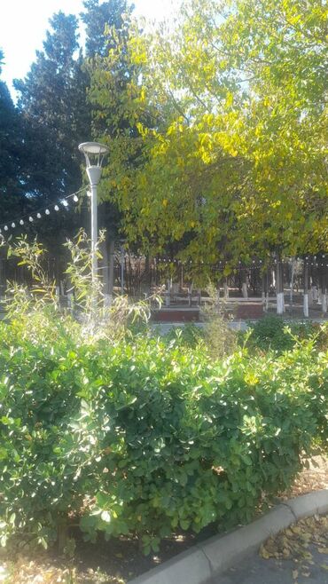 Restoran, kafelər: Sumqayıt şəhərində Nəsimi parkında yerləşən tam təmirli restoran -da lalafo.az — 3 Restoran, kafelər: Sumqayıt şəhərində Nəsimi parkında yerləşən tam təmirli restoran — 3