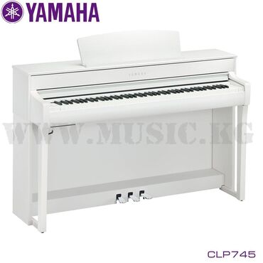 sinee plate midi: Цифровое фортепиано Yamaha CLP745 White Цифровое пианино Yamaha