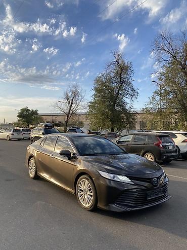 тайота камри 50 55: Toyota Camry: 2018 г., 2.5 л, Вариатор, Гибрид, Седан — 1