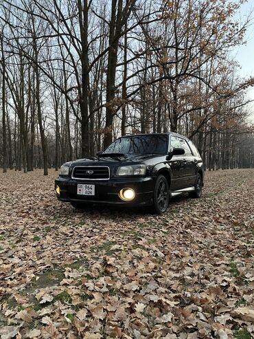 jeep машина: Subaru Forester: 2003 г., 2 л, Автомат, Бензин, Универсал