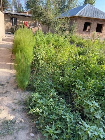 срочно срочно продаю дом город карабалта: Дом, 7 м², 5 комнат