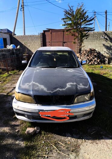 нисан санни: Nissan Cefiro: 1997 г., 2 л, Автомат, Бензин, Седан