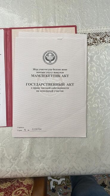 продаю туя: Для бизнеса, Риэлторам не беспокоить, Договор купли-продажи